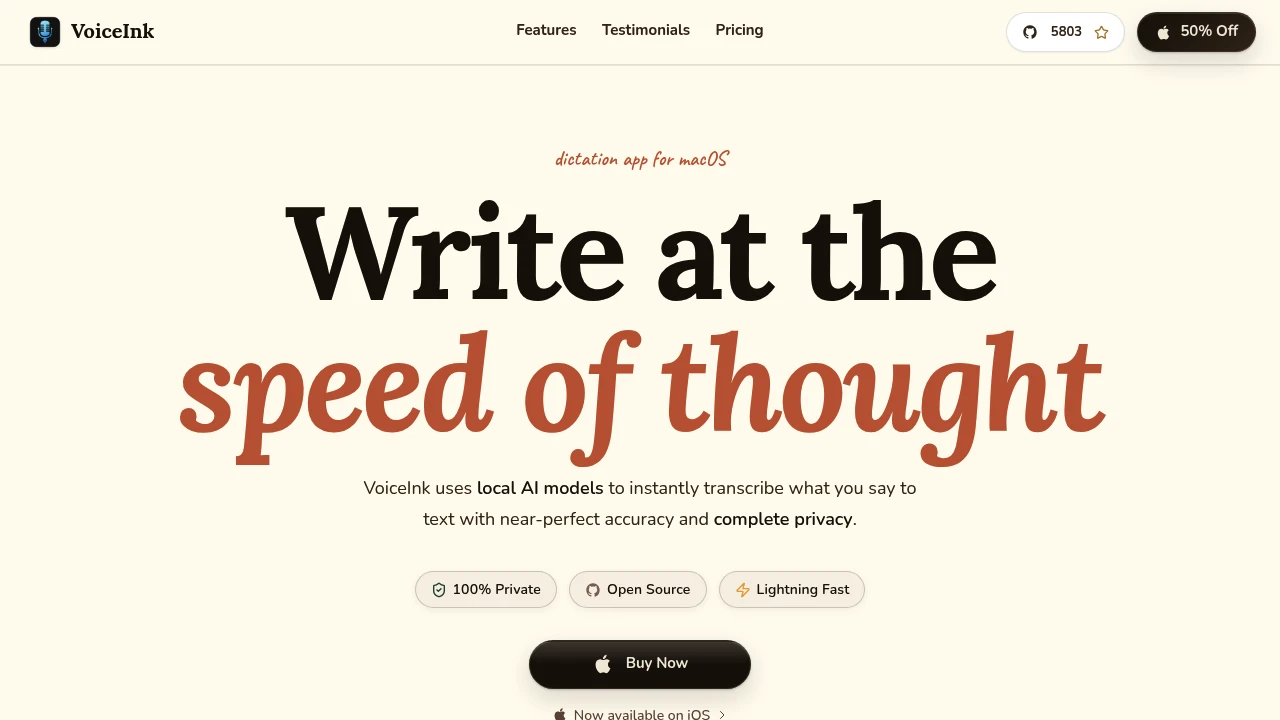 Screenshot of VoiceInk website